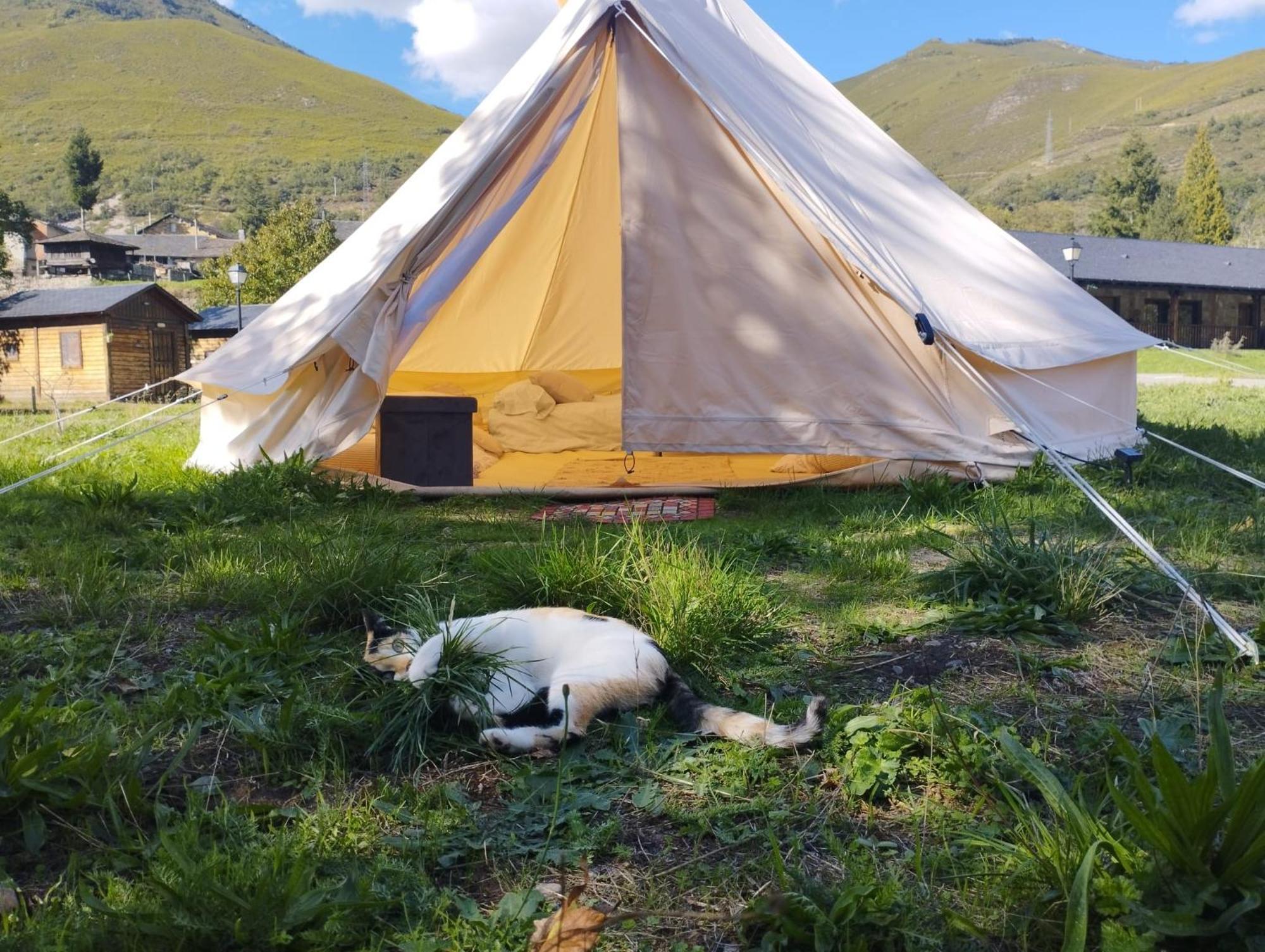 Camping La Zarapica - Palacios Del Sil Eksteriør bilde